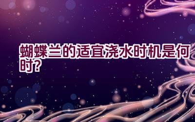 蝴蝶兰的适宜浇水时机是何时？插图