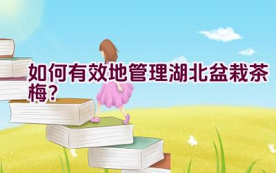 如何有效地管理湖北盆栽茶梅？插图