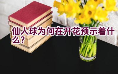 仙人球为何在开花预示着什么？插图