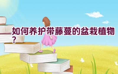 如何养护带藤蔓的盆栽植物？插图