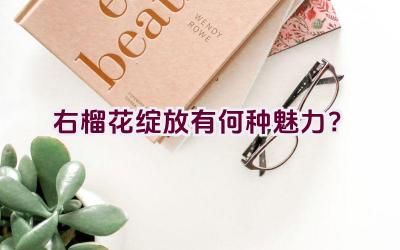 右榴花绽放有何种魅力？插图
