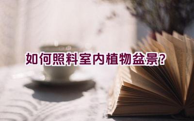 如何照料室内植物盆景？插图