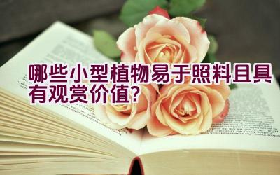 哪些小型植物易于照料且具有观赏价值？插图