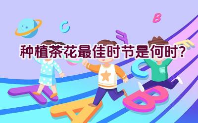 种植茶花最佳时节是何时？插图