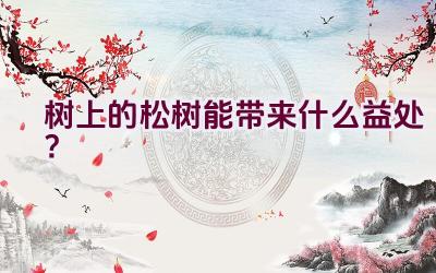 树上的松树能带来什么益处？插图