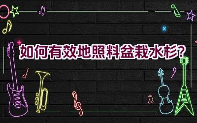 如何有效地照料盆栽水杉？插图