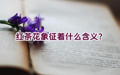 红茶花象征着什么含义？插图