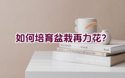 如何培育盆栽再力花？插图
