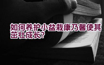 如何养护小盆栽康乃馨使其茁壮成长？插图