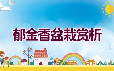 郁金香盆栽赏析插图