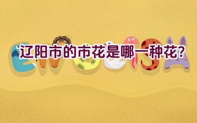 辽阳市的市花是哪一种花？