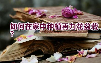 如何在家中种植再力花盆栽？插图