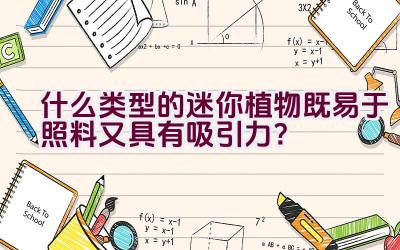 什么类型的迷你植物既易于照料又具有吸引力？插图