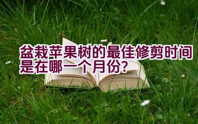 盆栽苹果树的最佳修剪时间是在哪一个月份？插图