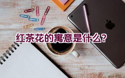 红茶花的寓意是什么？插图