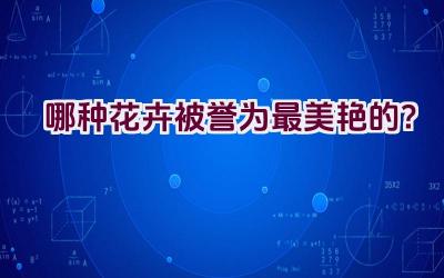 哪种花卉被誉为最美艳的？插图