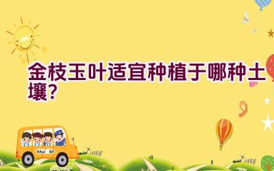 金枝玉叶适宜种植于哪种土壤？插图