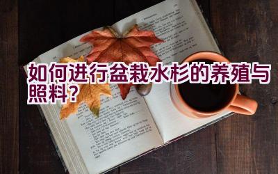 如何进行盆栽水杉的养殖与照料？插图