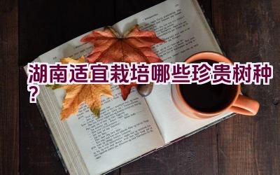 湖南适宜栽培哪些珍贵树种？