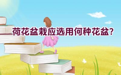 荷花盆栽应选用何种花盆？插图