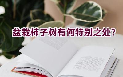盆栽柿子树有何特别之处？插图