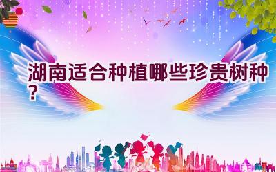 湖南适合种植哪些珍贵树种？插图