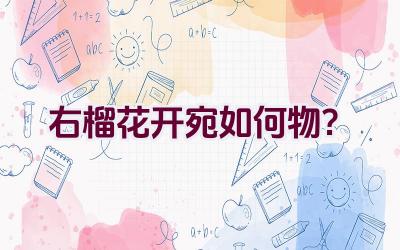 右榴花开宛如何物？