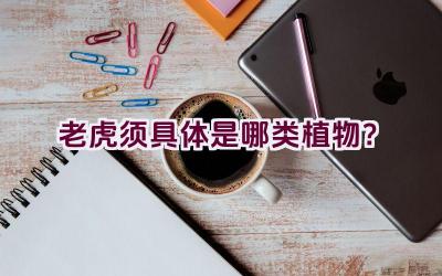 老虎须具体是哪类植物？