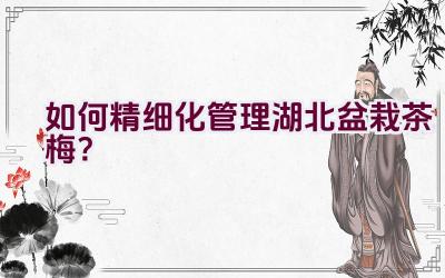 如何精细化管理湖北盆栽茶梅？插图