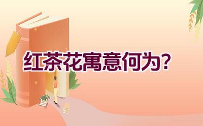 红茶花寓意何为？插图