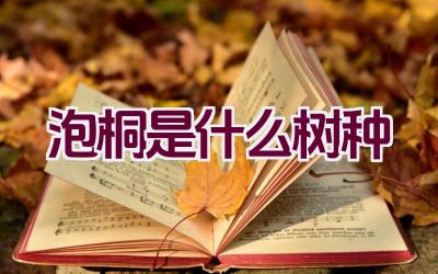 泡桐是什么树种插图