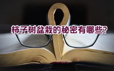 柿子树盆栽的秘密有哪些？插图