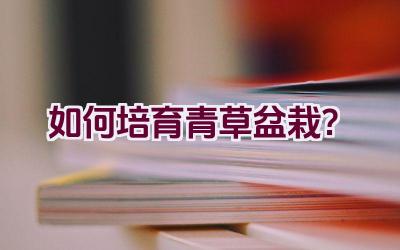 如何培育青草盆栽？插图