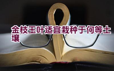 金枝玉叶适宜栽种于何等土壤插图