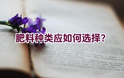 肥料种类应如何选择？插图