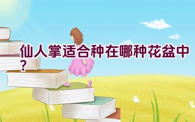 仙人掌适合种在哪种花盆中？插图