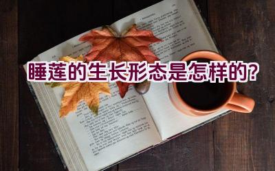 睡莲的生长形态是怎样的？插图