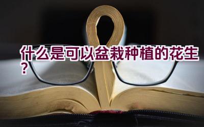 什么是可以盆栽种植的花生？插图