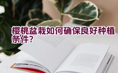 樱桃盆栽如何确保良好种植条件？插图