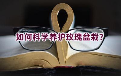 如何科学养护玫瑰盆栽？插图