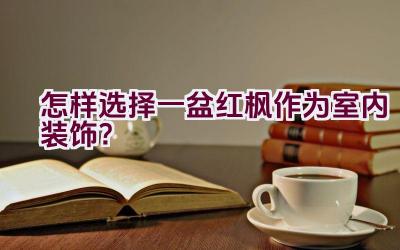 怎样选择一盆红枫作为室内装饰？插图