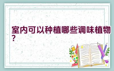 室内可以种植哪些调味植物？插图