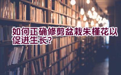 如何正确修剪盆栽朱槿花以促进生长？插图