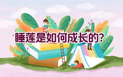 睡莲是如何成长的？插图