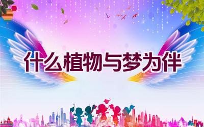 什么植物与梦为伴插图