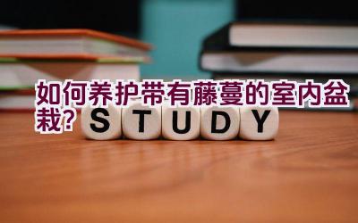 如何养护带有藤蔓的室内盆栽？插图