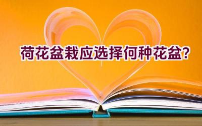 荷花盆栽应选择何种花盆？插图