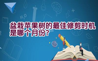 盆栽苹果树的最佳修剪时机是哪个月份？插图