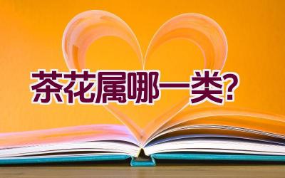 茶花属哪一类？插图