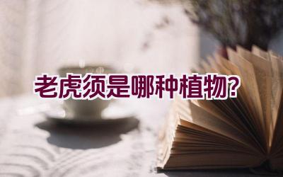老虎须是哪种植物？插图